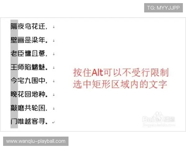波胆分析核心要素避坑指南高频玩法防骗秘诀